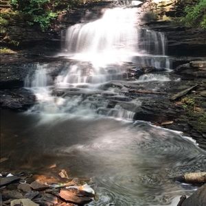 Meet your Posher, Renee